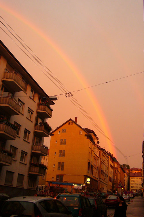 I love my rainbow barrio…