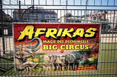 Zirkus Hot Afrika