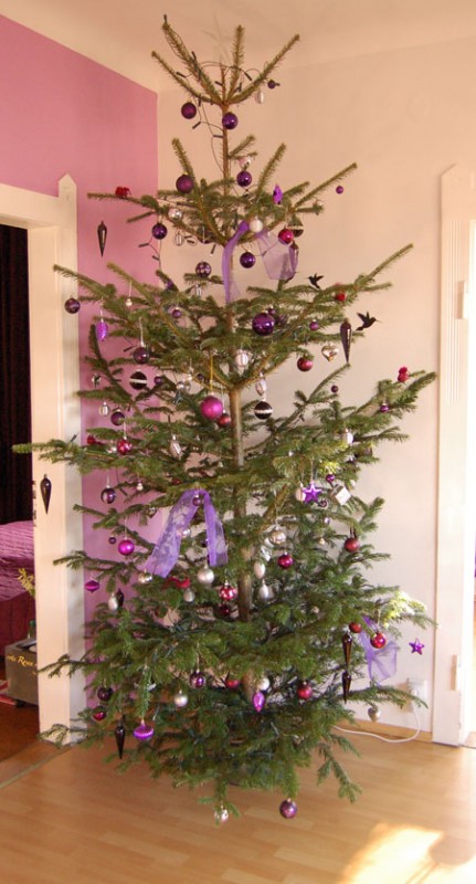 The famous Weihnachtsbaum oder auch: Dank euch war 2009 besonders schön