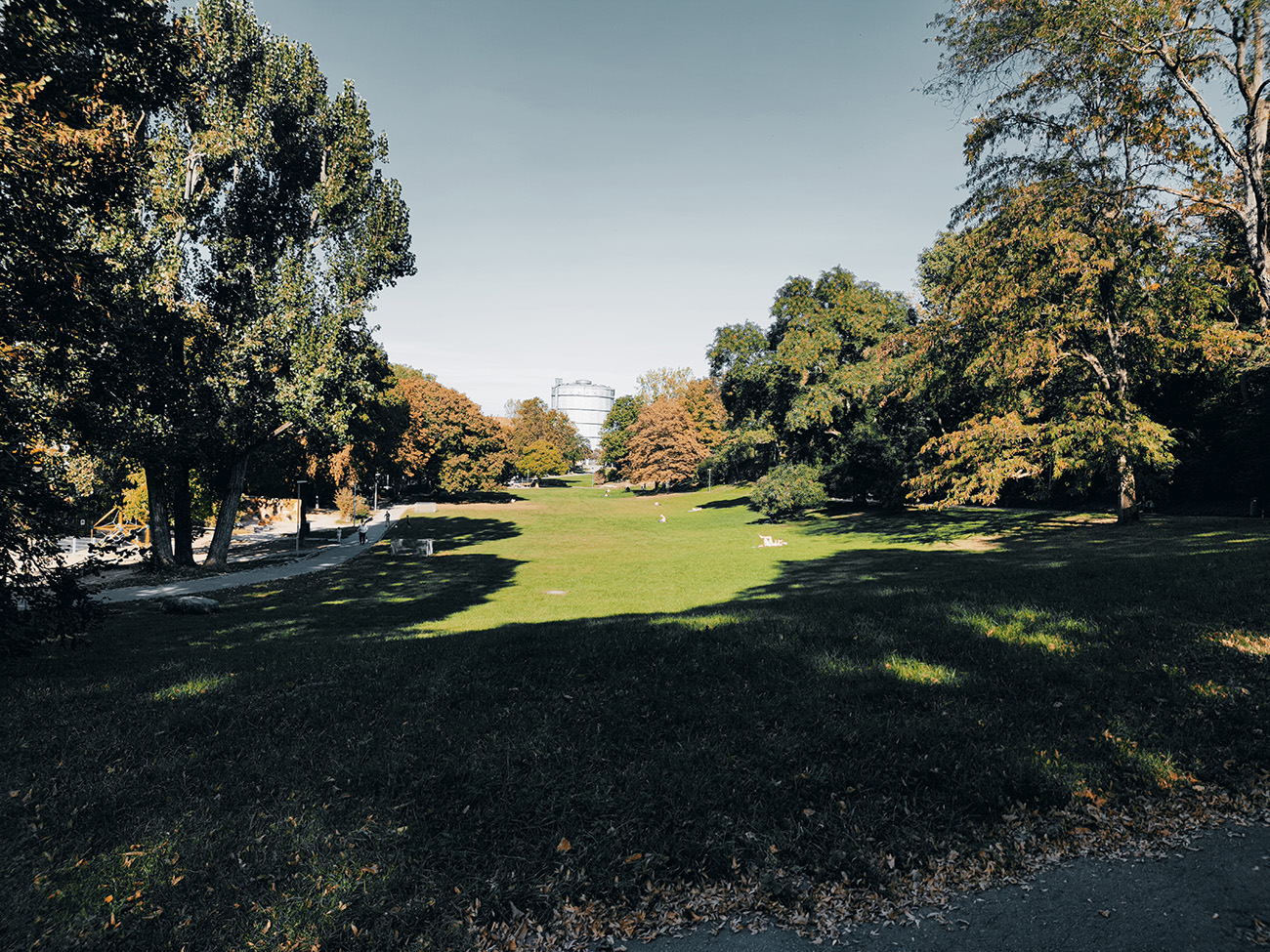 Ein schöner Park mit vielen Bäumen in Stuttgart Ost